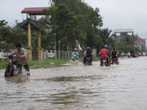 Inondations au Cambodge perte de près de 500 hectares de riz